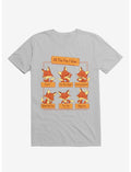 All The Fox I Give Ice Grey T-Shirt